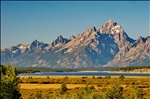 Grand Teton Mountain across Willow Flats 2